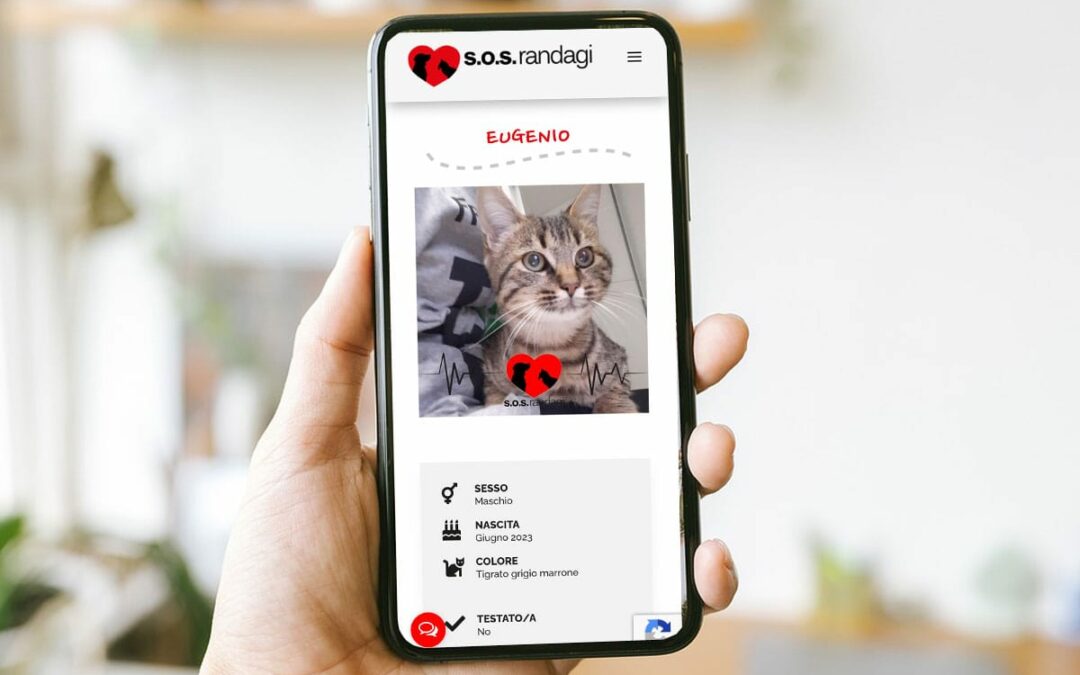 Restyling sito web