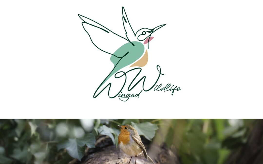 Logo Design